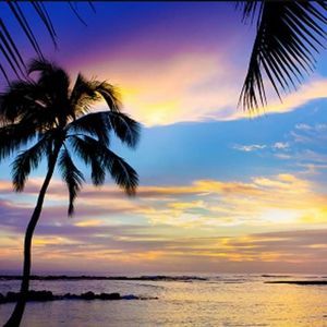 Meet your Posher, Monroe